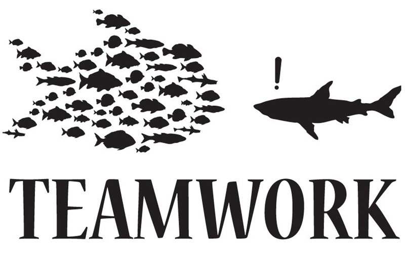 کارتیمی چیست؟